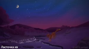 Метеор - тот кто погас, будет ярче светить чем кометы|~коты воители~| клип