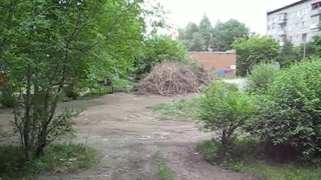 Куча веток походит на детский шалаш, который строили с друзьями в детстве смотреть онлайн