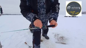 Удочка для зимней ловли корюшки и наваги (махалка)!