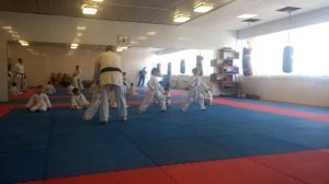 г Рославль каратэ , сдача аттестации