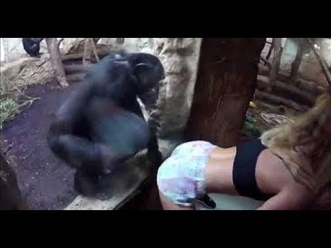 ЧТО МОГЛО ПОЙТИ НЕ ТАК? УГАРНАЯ ПОДБОРКА НОВЫХ ПРИКОЛОВ - ФЕЙЛЫ АПРЕЛЬ смотреть онлайн