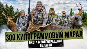 Добыли марала, пятнистого оленя, три косули и кабана. Охота в Волгоградской области