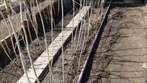 Малина,сделай срочно-грядки из шифера !!!!просто , ооочень просто!