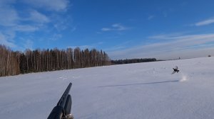 ДВА ВЫСТРЕЛА-ДВА КОСАЧА!!! Охота на тетерева на лунках 2023.