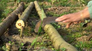 Life Of Couple In Love, 17 Hours Seek First Love Living Alone In The Deep Forest