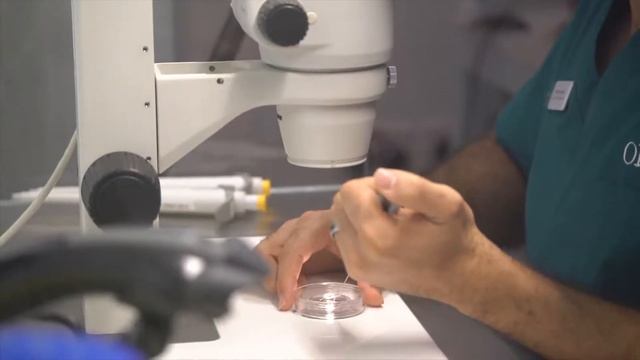 Hello, we are Orchid Fertility, Dubai смотреть онлайн