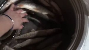 Рыбалка салехард