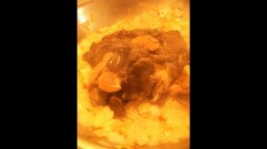 Холодные закуски мясные:Паштет из говядины с лесными грибами