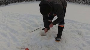 Рыбалка в глухозимье/ Ловля на комбайны на реке Сысола/Ловил ельца, поймал язя/ День 3