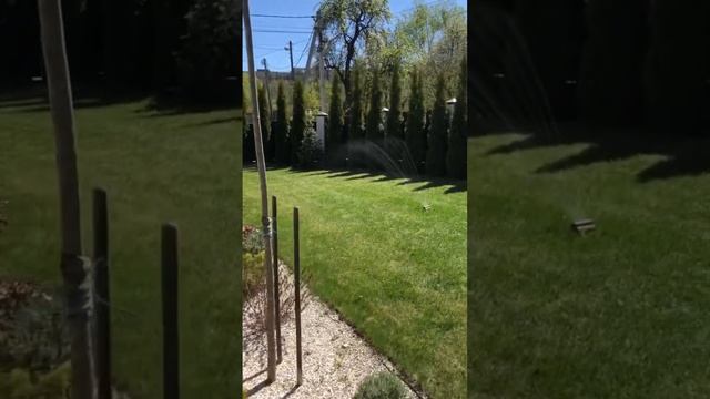 Озеленення,   #garden #gardening #landscape #gardengrass #lawn #клумба #ландшафтныйдизайн #львів