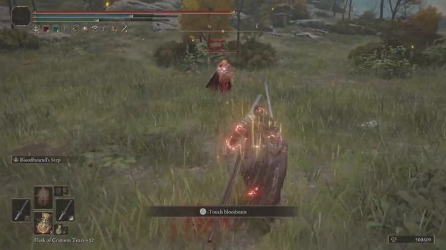 SWORD DANCE AND BLOODHOUND STEP IS SO FUN ELDEN RING PVP смотреть онлайн