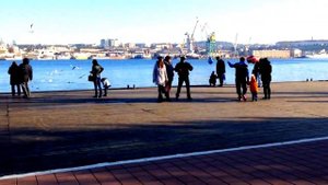 Крым зимой | ОТДЫХ В КРЫМУ | ПЕРЕЕЗД В КРЫМ