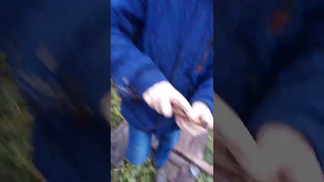 лук своими руками смотреть онлайн