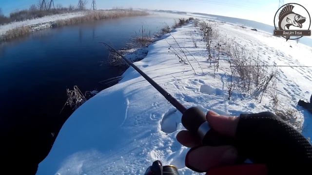 Окунь на спиннинг 2016 Открытие сезона. #Angry Fish Team 11 смотреть онлайн