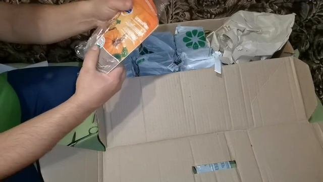 Заказал саженцы ГОЛУБИКИ и ЧЕРНИКИ  в интернет магазине. Распаковка посылки и правильная посадка