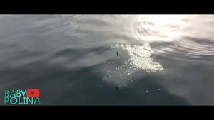 Рыбалка в Италии , что можно поймать.