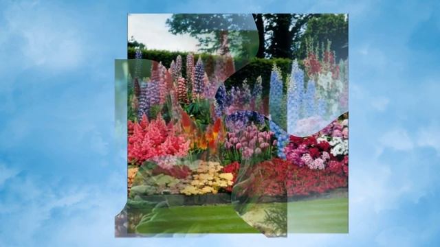 Клумба. flower garden. Blumengarten