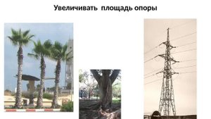 учимся у природы