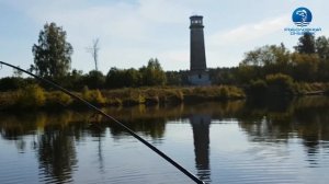 Фидер на канале им Москвы осенью. Рыбалка с бородачами. Vlog#11