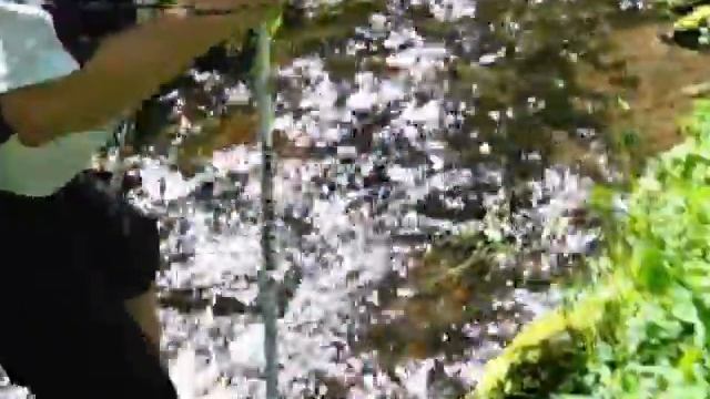 Aquawalking nach Sebastian Kneipp смотреть онлайн