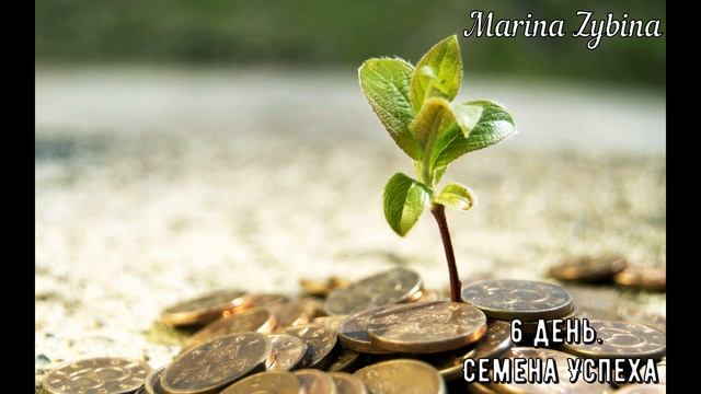 6 День Медитация Семена успеха смотреть онлайн