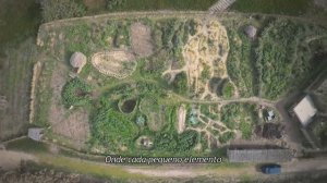 Пермакультурный сад на песке