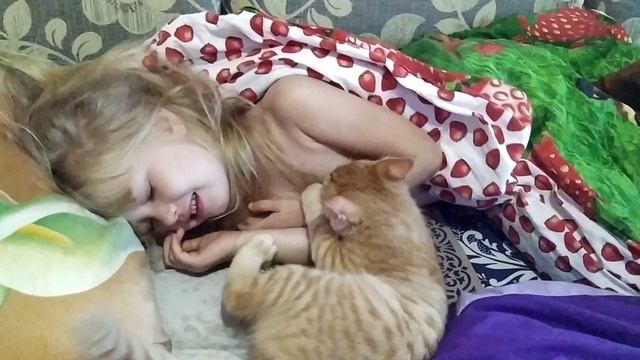 Ребенок и котенок. Когда утро доброе. Котенок разбудил ребенка. У котенка когти подстриженные.