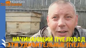 На край света за пчелами. Карпатская пчела в Сибири. "Мое Подворье"