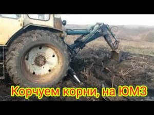 Выкорчевывание корней деревьев экскаватором ЮМЗ.