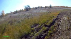 Охота на уток с подхода (МР-155).