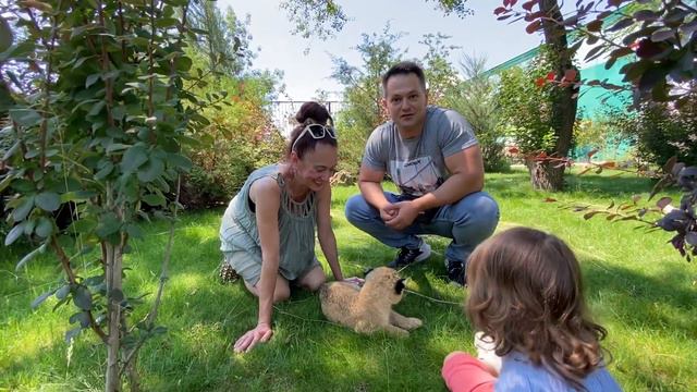 Марица и Дан Запашные- насколько важно детям ОБЩЕНИЕ с ЖИВОТНЫМИ?! смотреть онлайн