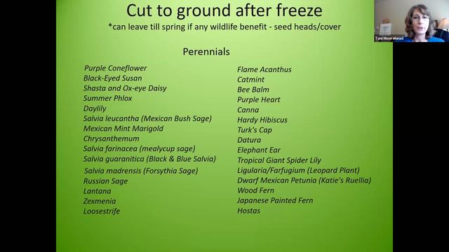 FallWinter Tips for North Central Texas Gardens Denton County 2020 MGA Fall Garden Fest