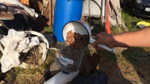 Аппарат который чистит кедровые орехи от шелухи! Мой папа изобретатель!