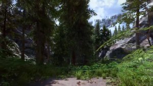 Getting lost in the woods Skyrim 2021