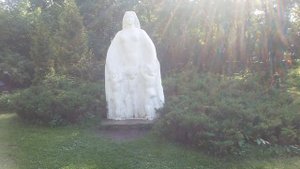 ЖЕЛТАЯ АКАЦИЯ /YELLOW ACACIA
