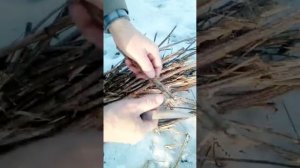 Лучшая наживка для рыбалки!