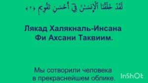 "@", Ваттини Вззайтун красивая чтения Куран👍