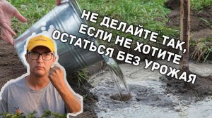 Как сберечь урожай весной? Что делать в огороде после зимы?