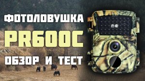 Фотоловушка PR600C. Обзор и тест.