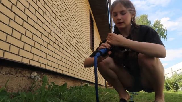 КОСТРОМА/ВЛОГ/КОНЦЕРТ ПМ смотреть онлайн