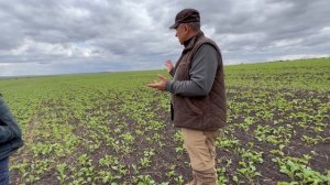 Сеем ОЗИМЫЙ РАПС и ПШЕНИЦУ в Туле! Про сельхозтехнику и технологии сева озимых!