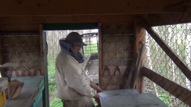 В Гостях на Пасеке у Ветврача Шушеначева А Г
