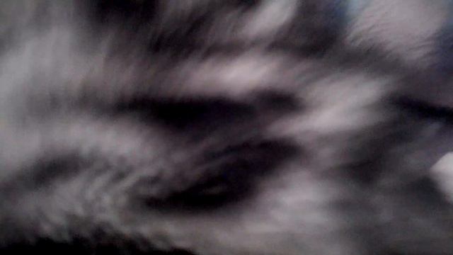 Рум тур по дому смотреть онлайн