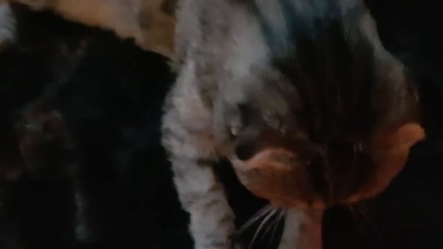 Дела житейские, простые. смотреть онлайн