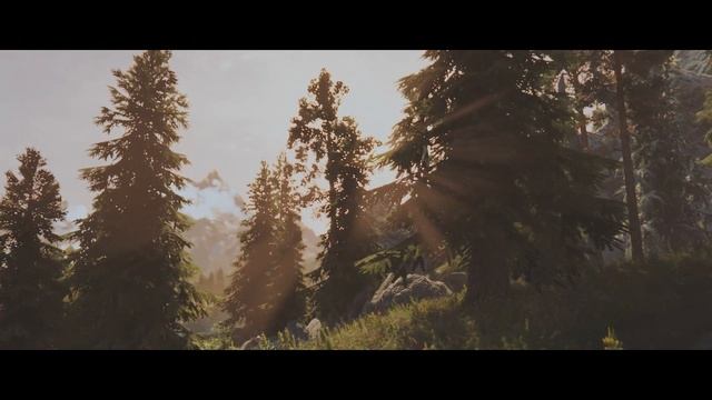 TES V. SKYRIM LE - ENB TEST смотреть онлайн