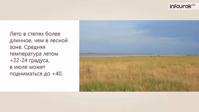 Тест степь 4 класс окружающий мир. Степи 4 класс окружающий мир чб.