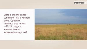 Степи и их растительный мир | Окружающий мир 3 класс #18 | Инфоурок