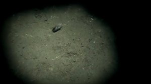 Ария Осколок льда HD