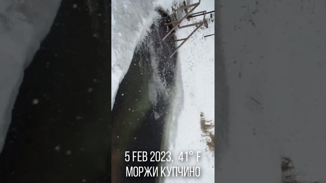 5 february 2023 ice diving eli bold прорубь купчино зимнее плавание