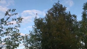 От людей на деревне не спрятаться